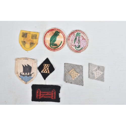 254 - RIKER DISPLAY CASE, containing  over 30 Formation patches to units including Northern Ireland Comman... 