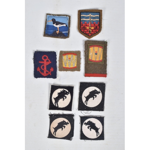 264 - RIKER DISPLAY CASE CONTAINING VARIOUS FORMATION PATCHES & INSIGNIA with an Operation Market Garden i... 