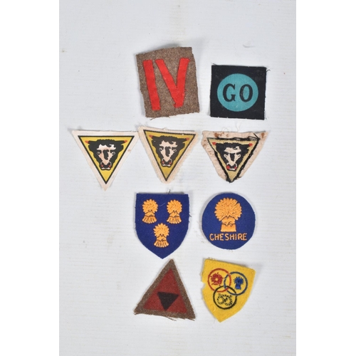 264 - RIKER DISPLAY CASE CONTAINING VARIOUS FORMATION PATCHES & INSIGNIA with an Operation Market Garden i... 