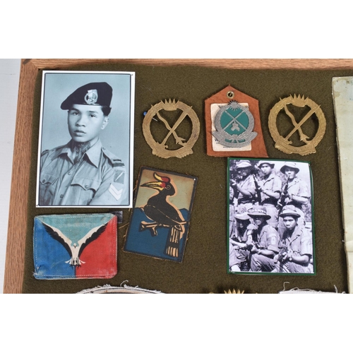 268 - LARGE WOOD AND GLAZED FRAME CONTAINING VARIOUS INSIGNIA, patches and metal badges photos etc all rel... 