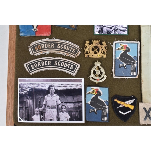 268 - LARGE WOOD AND GLAZED FRAME CONTAINING VARIOUS INSIGNIA, patches and metal badges photos etc all rel... 