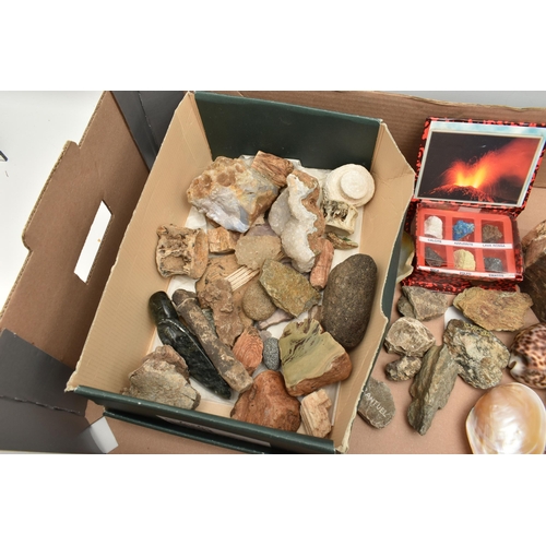 552 - A BOX OF ASSORTED GEMSTONE AND MINERAL SPECIMENS, to include three larger pieces of petrified wood, ... 