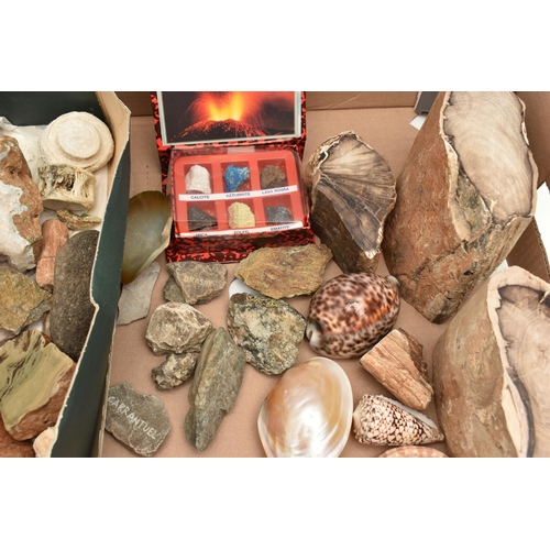 552 - A BOX OF ASSORTED GEMSTONE AND MINERAL SPECIMENS, to include three larger pieces of petrified wood, ... 