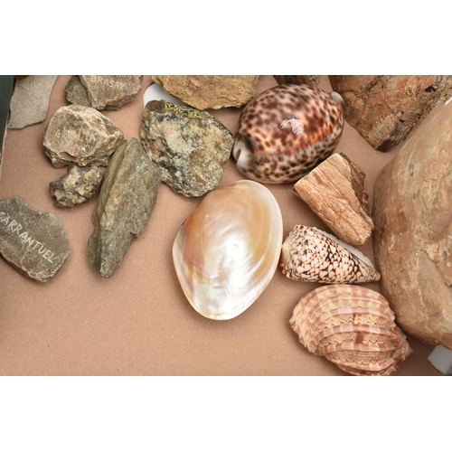 552 - A BOX OF ASSORTED GEMSTONE AND MINERAL SPECIMENS, to include three larger pieces of petrified wood, ... 