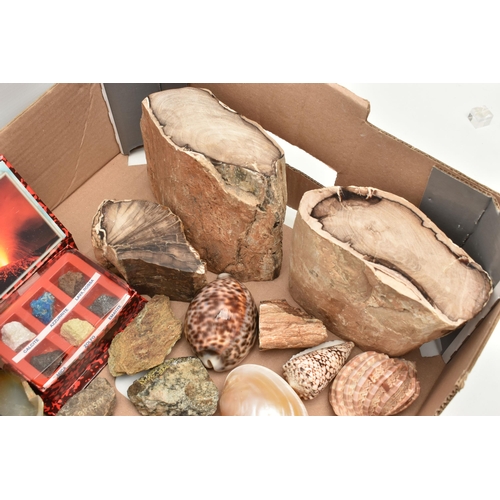 552 - A BOX OF ASSORTED GEMSTONE AND MINERAL SPECIMENS, to include three larger pieces of petrified wood, ... 