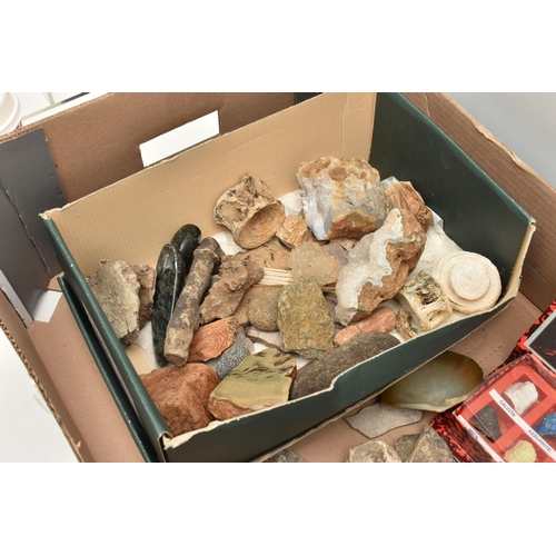 552 - A BOX OF ASSORTED GEMSTONE AND MINERAL SPECIMENS, to include three larger pieces of petrified wood, ... 