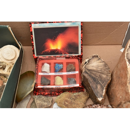 552 - A BOX OF ASSORTED GEMSTONE AND MINERAL SPECIMENS, to include three larger pieces of petrified wood, ... 