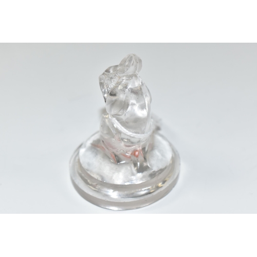 835 - A RENE LALIQUE 'SOURIS' MOUSE SEAL in clear glass, etched 'R.Lalique' to the base, height 6.8cm (1) ... 