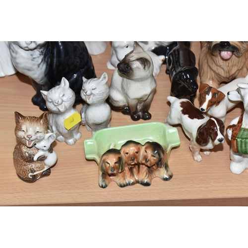 847 - A COLLECTION OF BESWICK CATS AND DOGS to include sixteen dog sculptures to include a Border Collie '... 