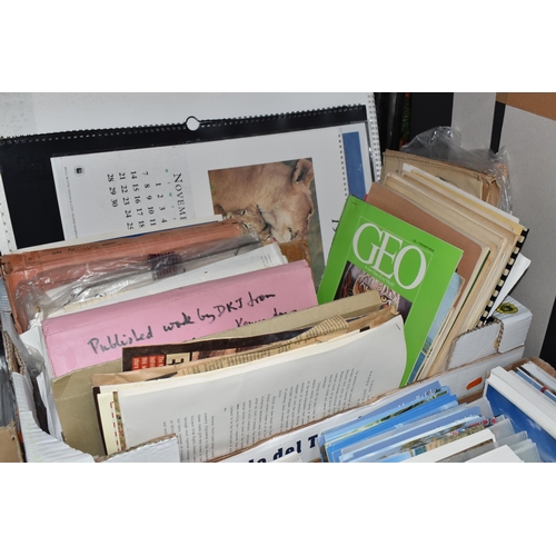 919 - SEVEN BOXES AND LOOSE AFRICAN RELATED EPHEMERA to include a vast amount of modern Postcards, Photoca... 