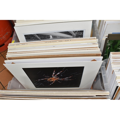 1021 - A QUANTITY OF MOUNTED PHOTOGRAPHIC PRINTS, most taken by renowned photographer David Keith Jones, co... 