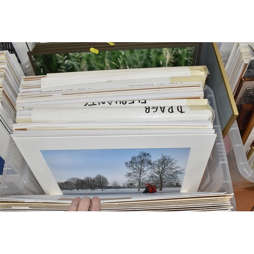 1021 - A QUANTITY OF MOUNTED PHOTOGRAPHIC PRINTS, most taken by renowned photographer David Keith Jones, co... 