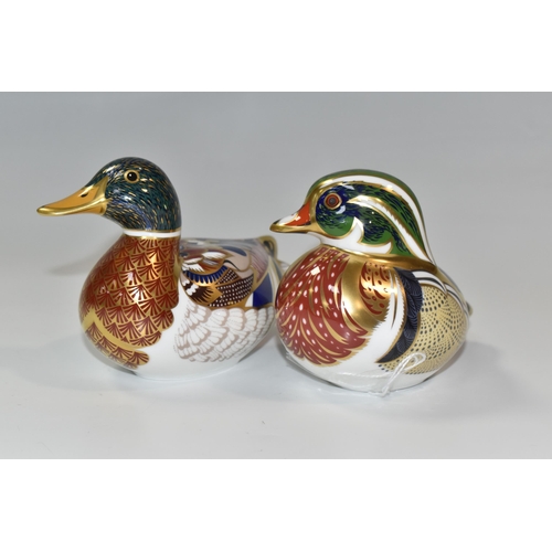 791 - TWO ROYAL CROWN DERBY IMARI PAPERWEIGHTS, comprising  'Mallard Duck' introduced 1997 and 'Carolina D... 