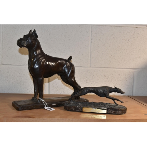 805 - A BRONZE FIGURE OF A BOXER DOG, the standing boxer on a rectangular base, marked 'Copyright 1943', h... 