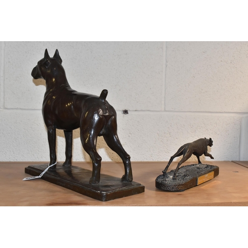 805 - A BRONZE FIGURE OF A BOXER DOG, the standing boxer on a rectangular base, marked 'Copyright 1943', h... 