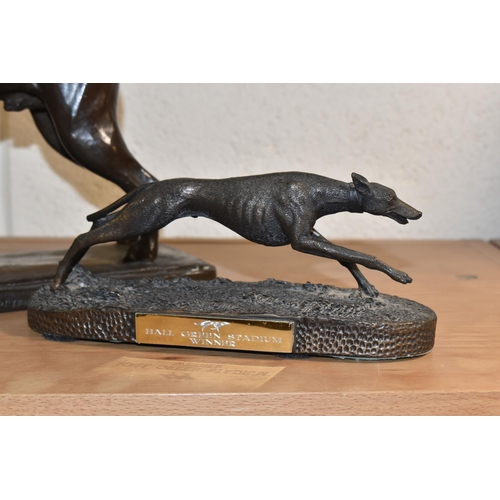 805 - A BRONZE FIGURE OF A BOXER DOG, the standing boxer on a rectangular base, marked 'Copyright 1943', h... 