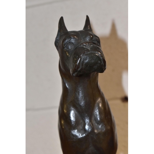 805 - A BRONZE FIGURE OF A BOXER DOG, the standing boxer on a rectangular base, marked 'Copyright 1943', h... 