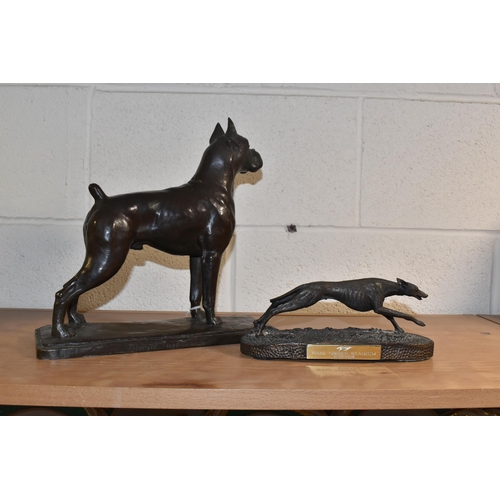 805 - A BRONZE FIGURE OF A BOXER DOG, the standing boxer on a rectangular base, marked 'Copyright 1943', h... 