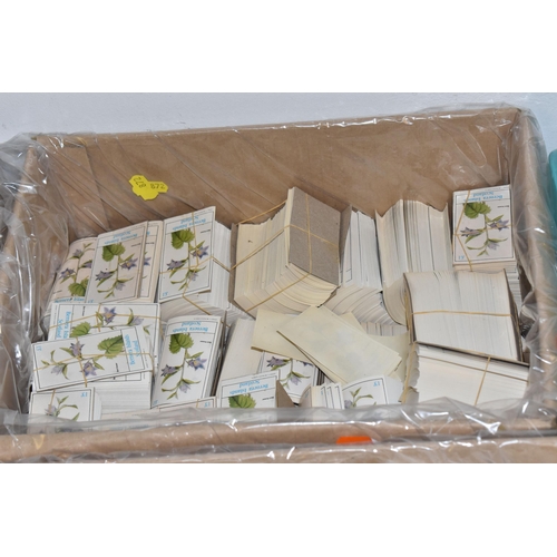 872 - SIX BOXES OF 'CINDERELLA/LOCAL' STAMPS to include thousands of Nagaland, Staffa Scotland, Eynhallow,... 