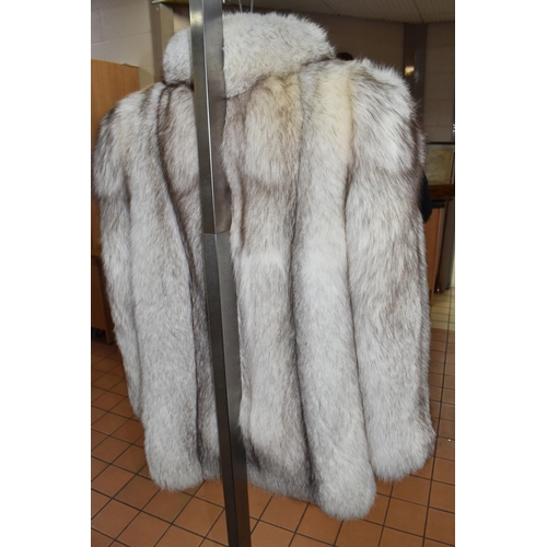 903 - AN ARCTIC FOX FUR JACKET, cream with brown tips, approximate ladies UK size 10, length excluding col... 