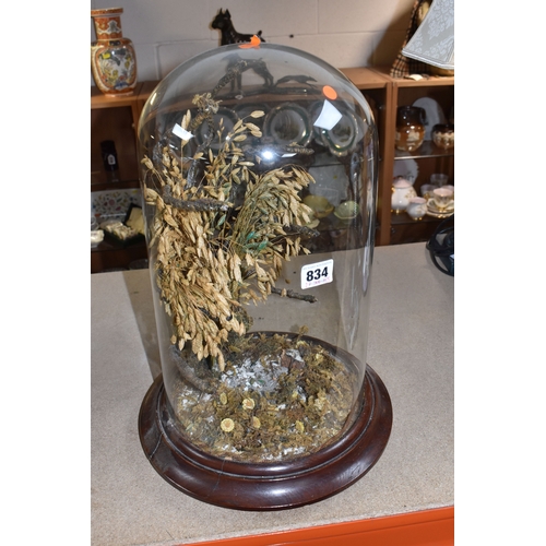 834 - A NINTEENTH CENTURY GLASS DOME AND BASE, with dried grasses, dried mosses and flowers inside, 'x' an... 