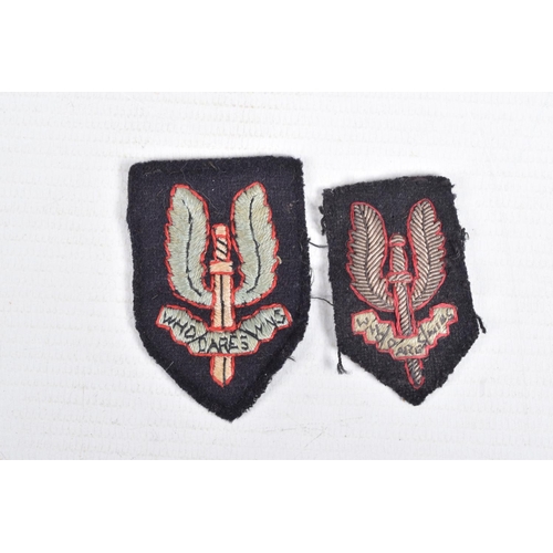 269 - VARIOUS SPECIAL FORCES SAS ITEMS, to include 2 SAS Beret/Cap badges, SAS Para wings, 2 Malaya Comman... 