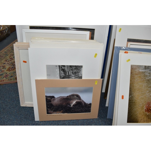 930 - A QUANTITY OF FRAMED AND UNFRAMED PHOTOGRAPHIC PRINTS, the majority were taken by John Gartstone who... 