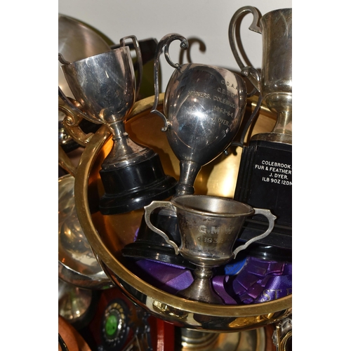 779 - A BOX OF ASSORTED TROPHIES, plaques and medals, for angling and gardening, etc (1 box) (sd)