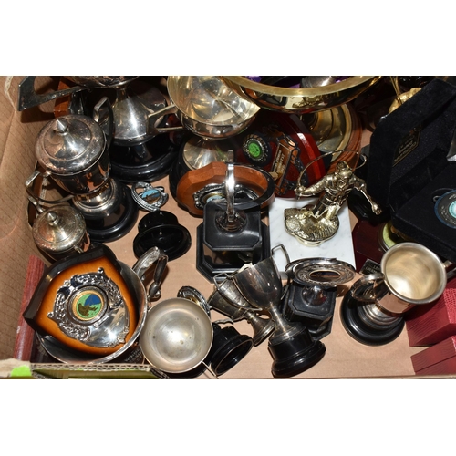 779 - A BOX OF ASSORTED TROPHIES, plaques and medals, for angling and gardening, etc (1 box) (sd)