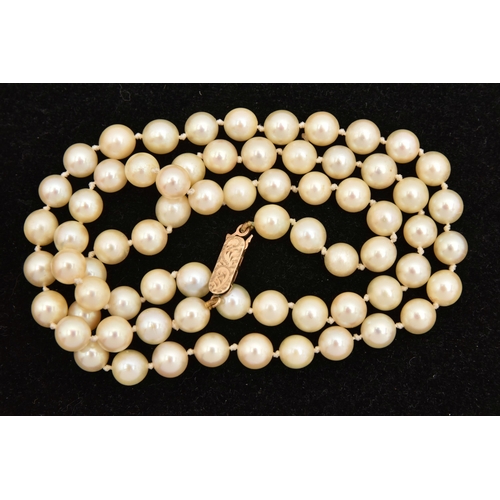 465 - A SINGLE STRAND OF CULTURED PEARLS, cream pearls with a pink hue, each measuring approximately 6.6-6... 