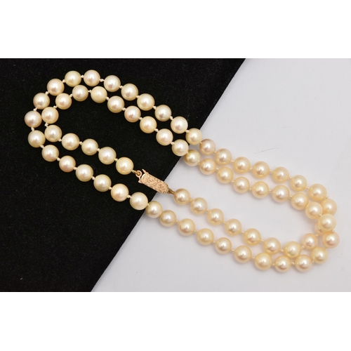 465 - A SINGLE STRAND OF CULTURED PEARLS, cream pearls with a pink hue, each measuring approximately 6.6-6... 