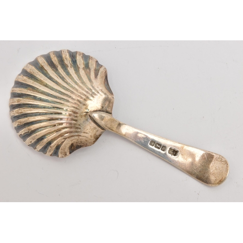 513 - AN EDWARDIAN SILVER CADDY SPOON, shell shape bowl and terminal of the handle, hallmarked 'Robert Pri... 