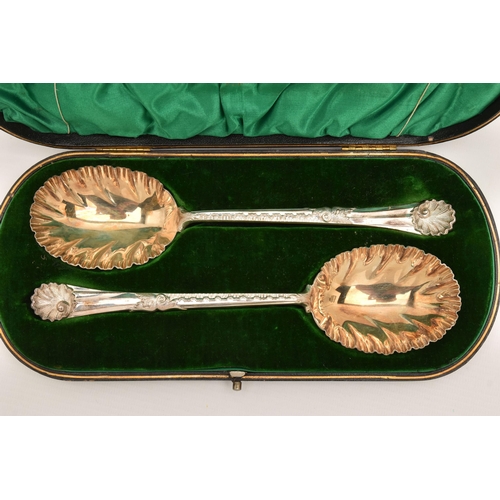 539 - A CASED SET OF TWO SILVER EDWARDIAN FRUIT SPOONS, each with a frilled edge, gilt bowl and shell patt... 