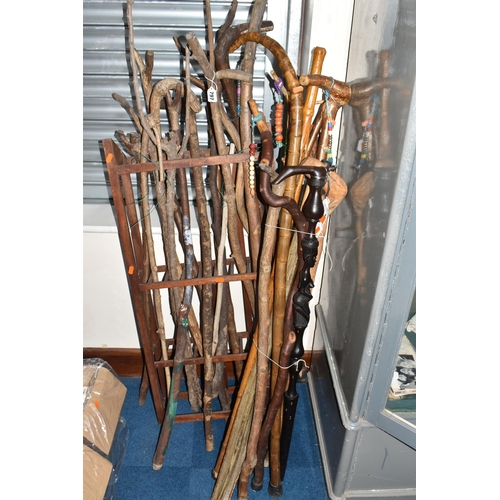 797 - A LARGE COLLECTION OF WALKING STICKS IN VARIOUS LEVELS OF COMPLETION to include a group of approxima... 