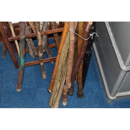 797 - A LARGE COLLECTION OF WALKING STICKS IN VARIOUS LEVELS OF COMPLETION to include a group of approxima... 