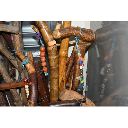 797 - A LARGE COLLECTION OF WALKING STICKS IN VARIOUS LEVELS OF COMPLETION to include a group of approxima... 