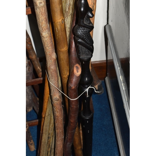 797 - A LARGE COLLECTION OF WALKING STICKS IN VARIOUS LEVELS OF COMPLETION to include a group of approxima... 