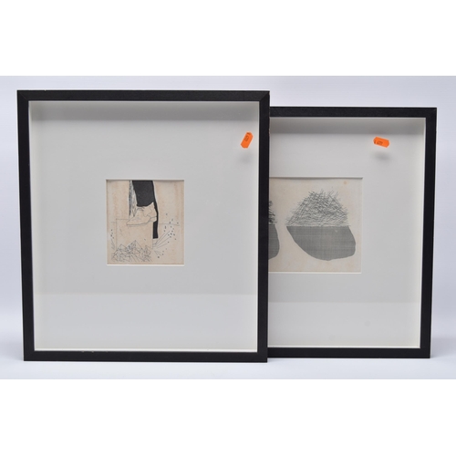 751 - DAVID HOCKNEY (BRITISH 1937) 'STRAW ON THE LEFT, GOLD ON THE RIGHT', a limited edition etching from ... 