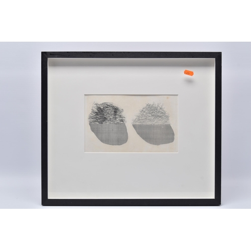 751 - DAVID HOCKNEY (BRITISH 1937) 'STRAW ON THE LEFT, GOLD ON THE RIGHT', a limited edition etching from ... 