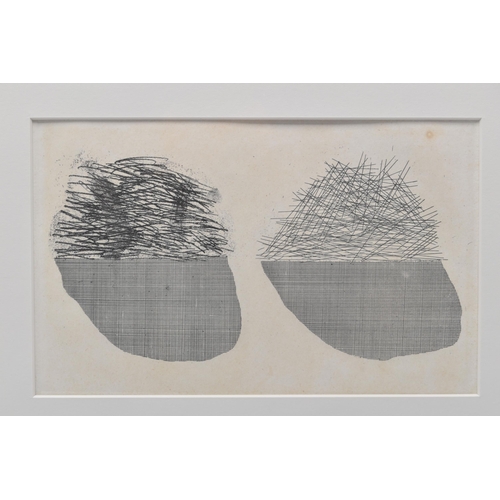 751 - DAVID HOCKNEY (BRITISH 1937) 'STRAW ON THE LEFT, GOLD ON THE RIGHT', a limited edition etching from ... 