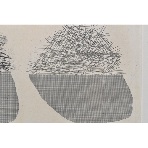 751 - DAVID HOCKNEY (BRITISH 1937) 'STRAW ON THE LEFT, GOLD ON THE RIGHT', a limited edition etching from ... 