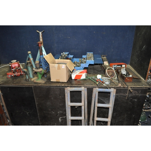 Lot 54        