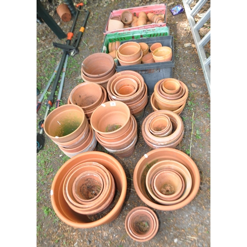 Lot 7         