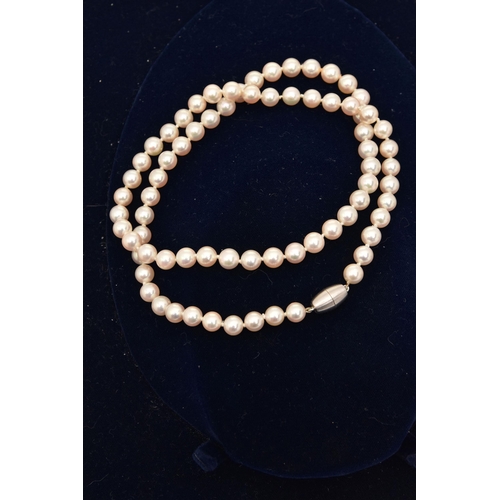 Lot 443       