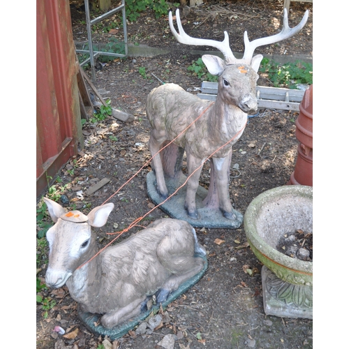 12 - A SET OF TWO GARDEN STATUES, of deer's with interchangeable ears / antlers, one is standing, the oth... 