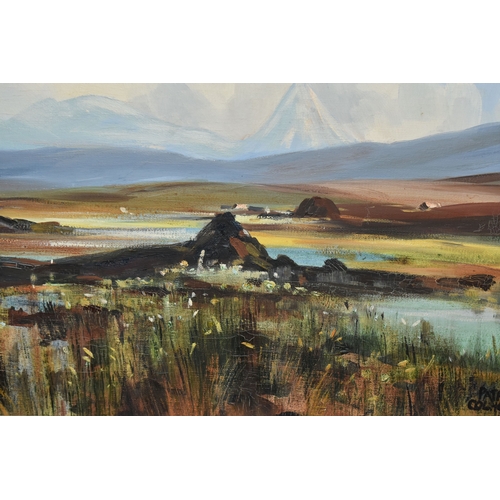 1006 - PATRIC COLHOUN (IRELAND 20TH CENTURY) 'MUCKISH AND ERRIGAL MOUNTAINS FROM Co DONEGAL', an Irish land... 