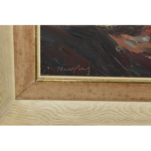 1006 - PATRIC COLHOUN (IRELAND 20TH CENTURY) 'MUCKISH AND ERRIGAL MOUNTAINS FROM Co DONEGAL', an Irish land... 