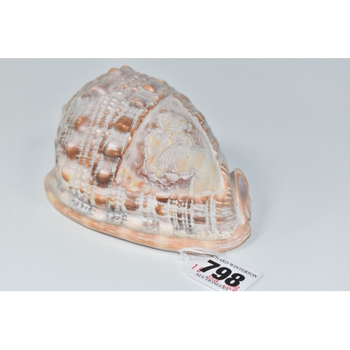 798 - HAND CARVED VINTAGE CONCH SHELL, featuring a carved cameo Victorian lady, approximately 11.5cm, by 8... 