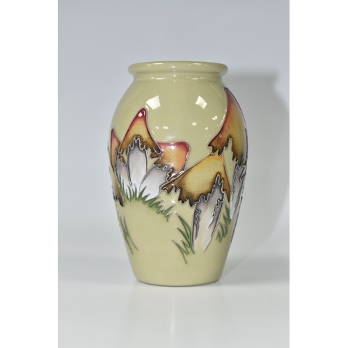 803 - A MOORCROFT POTTERY MAGICAL TOADSTOOL VASE, featuring tube line pattern Magical Toadstool, on a sage... 
