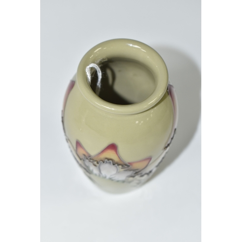 803 - A MOORCROFT POTTERY MAGICAL TOADSTOOL VASE, featuring tube line pattern Magical Toadstool, on a sage... 
